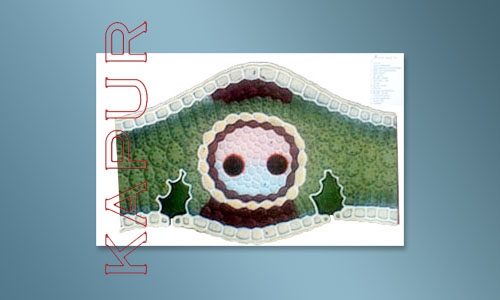 Dicot Leaf T.S